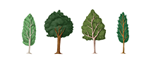 Four illustrated trees