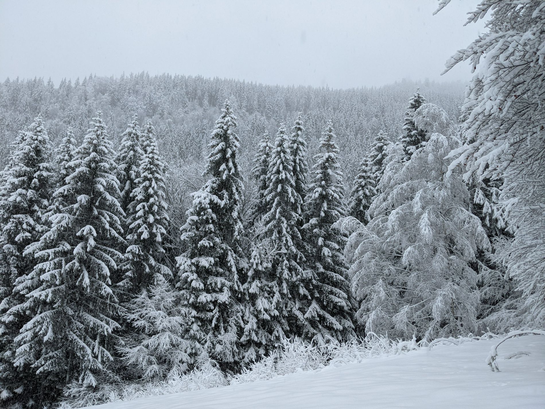 Chalet Hugo winter holiday